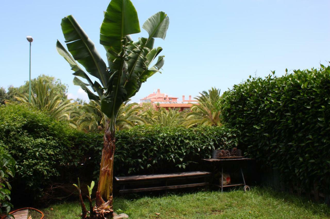 Apartamentos Con Jardin Y Pescina Puerto de la Cruz  Buitenkant foto