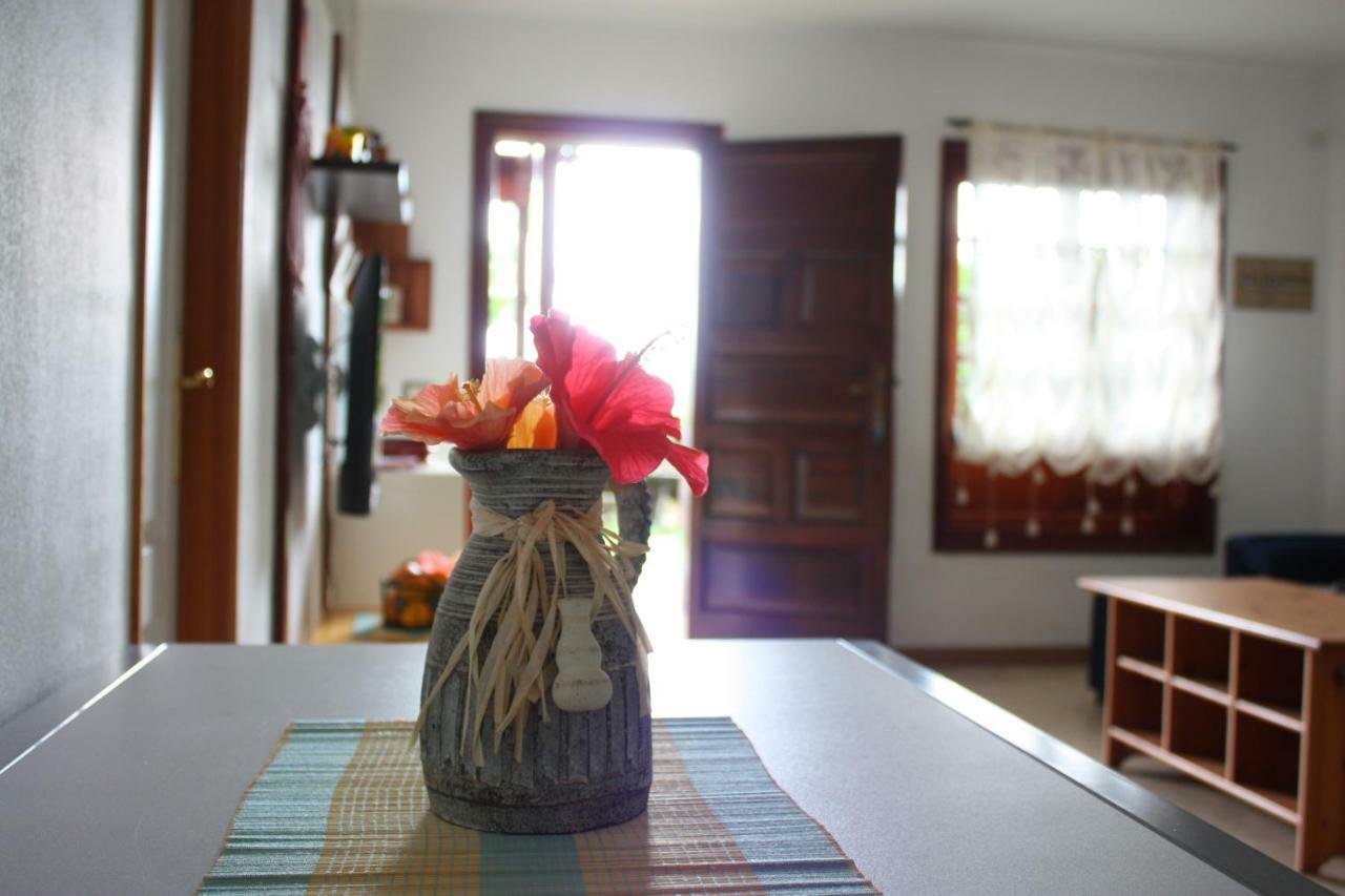 Apartamentos Con Jardin Y Pescina Puerto de la Cruz  Buitenkant foto